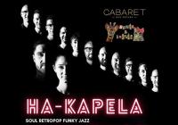 Koncert : Ha-kapela a Srnčí kočičí