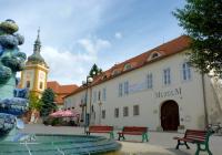 Muzeum ve Šlapanicích - programme for July