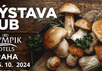 Výstava hub, Praha 8, hotel Olympik, 4.-5.10.2024