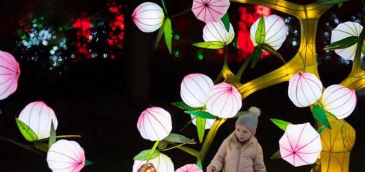 Světelný park Winter Wonderland odstartoval svoji sezónu