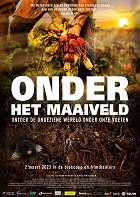 Onder het Maaiveld